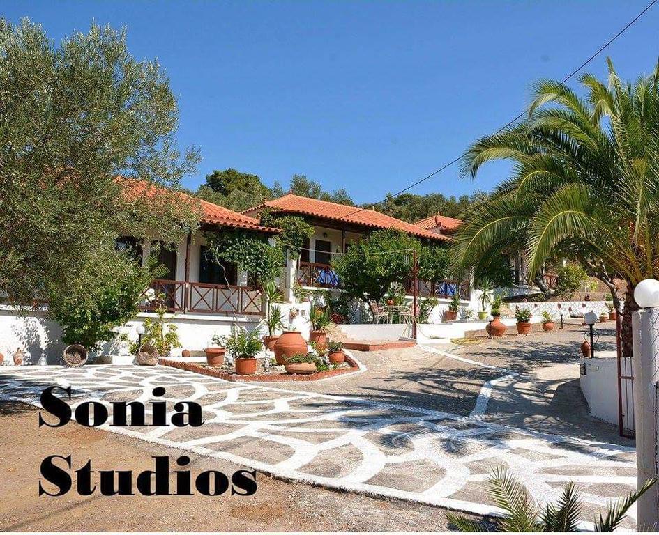 Sonia Studios Nees Kidonies Стая снимка