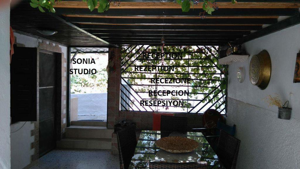 Sonia Studios Nees Kidonies Екстериор снимка
